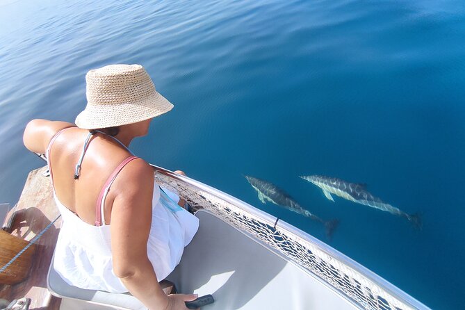 2 h Estepona Bay Tour - Key points to know before sailing