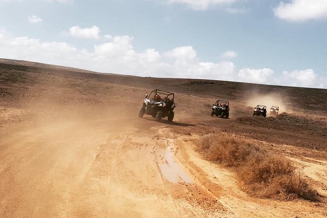2-hour Buggy Tour from Costa Teguise - Key points before you book