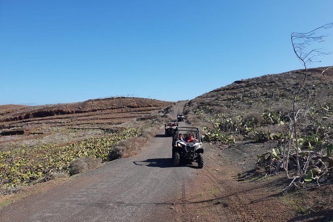 2-hour Buggy Tour from Costa Teguise - What the guide adds to the day
