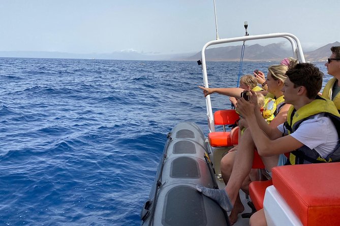 2h Dolphin and Whale Viewing + Snorkeling Tour - Setting out from Puerto del Morro Jable