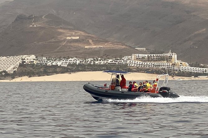 2h Dolphin and Whale Viewing + Snorkeling Tour - The snorkeling stop and what it adds