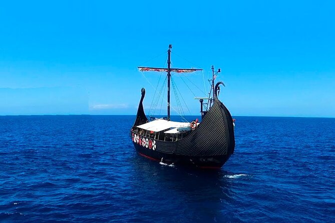 2h Viking Cruise Whales & Dolphins Watching - The sea can be calm, or it can test your stomach