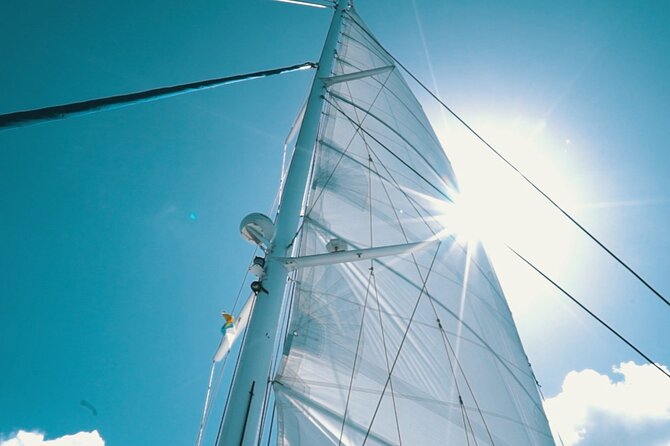 2hrs Dolphins Sunset Sailing Cruise With Drink - Wind, Waves, and Comfort on the Catamaran