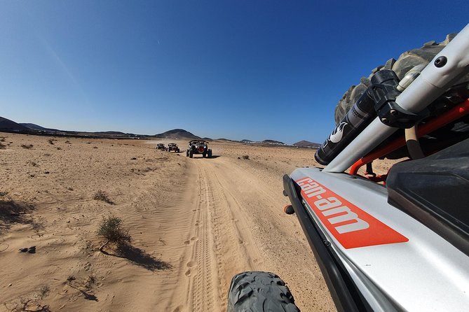 3 Hour Guided Buggy Tour Around the Island of Lanzarote - From La Geria to the volcanic shore