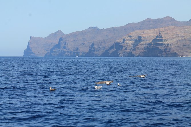 3h Boat Trip + Snorkeling in Puerto de Mogan - Practical details that can save your morning