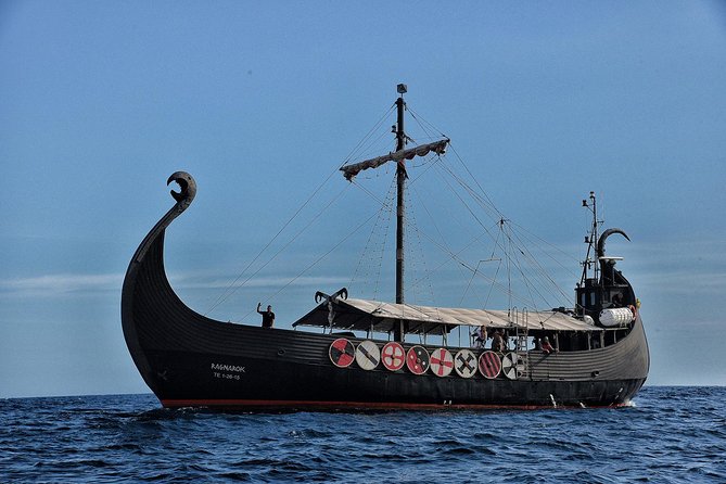 3h Viking Cruise with Drinks, Whales watching & Swimming Time - Swimming in the open sea