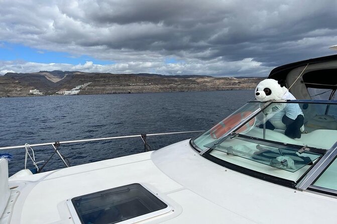 4 Hour Boat Tour with Snorkeling from Puerto Rico and Mogan - Veneguera brings the swimming time