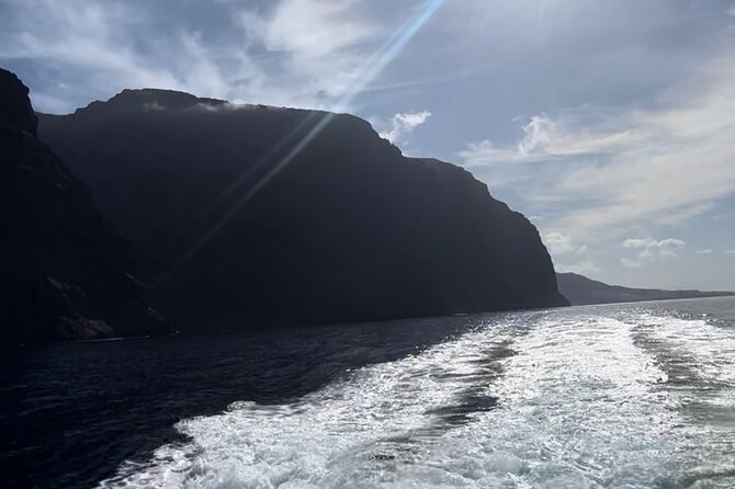 4 Hour Boat Tour with Snorkeling from Puerto Rico and Mogan - Lunch, drinks, and the onboard rhythm