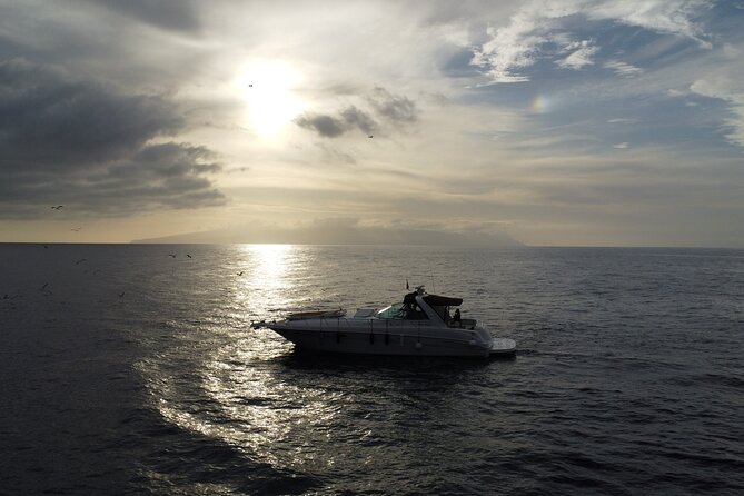 4 Hour Boat Tour with Snorkeling from Puerto Rico and Mogan - What the $90.74 price really buys
