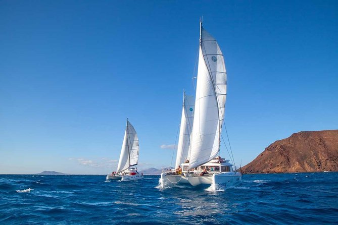 4-Hour Sailing Tour of Lobos Island from Fuerteventura - Should you book it?