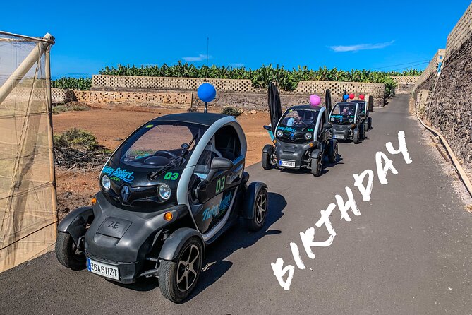 4 Hours Eco Safari Tour with Electric Car in Tenerife - Chio and the taste of island-made food