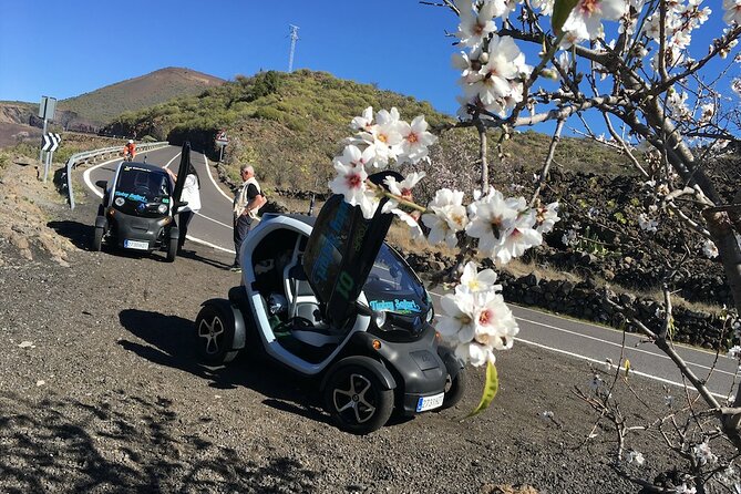 4 Hours Eco Safari Tour with Electric Car in Tenerife - Price, group size, and what you receive