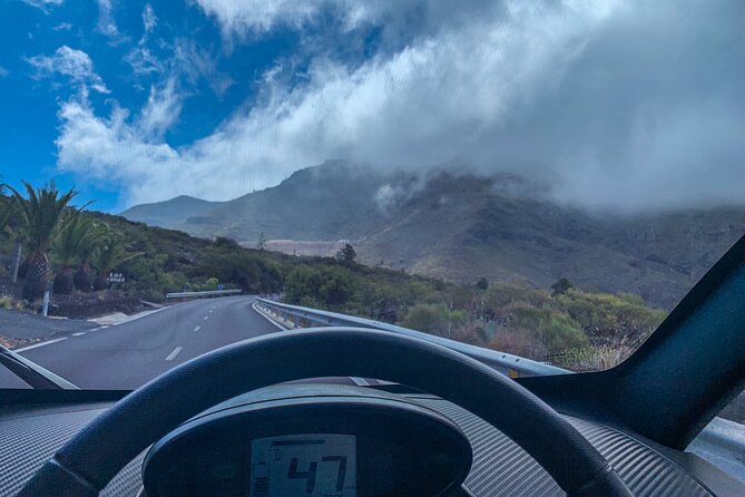 4 Hours Eco Safari Tour with Electric Car in Tenerife - Practical details that can affect your morning