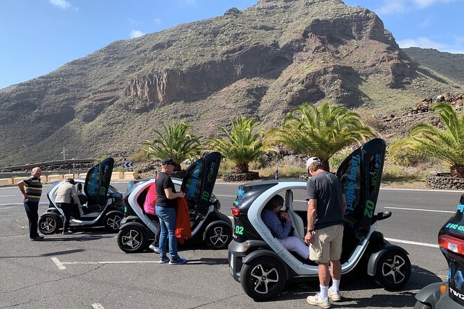 4 Hours Eco Safari Tour with Electric Car in Tenerife - Santiago del Teide, where the coast feels far away