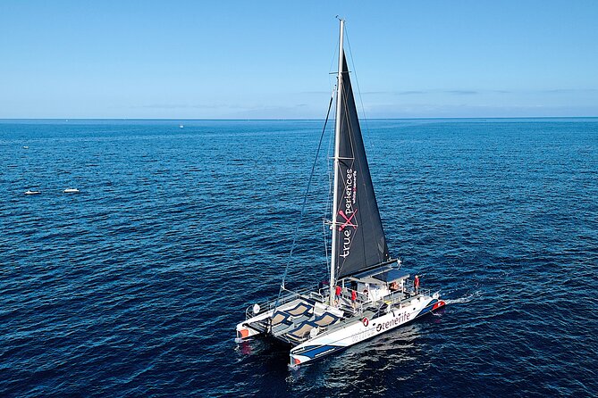 5 hr watching and listening whales and dolps. Visit Los Gigantes - Looking for whales and dolphins in their own habitat