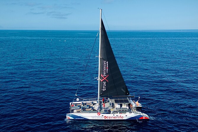 5 hr watching and listening whales and dolps. Visit Los Gigantes - Who will enjoy this catamaran trip most