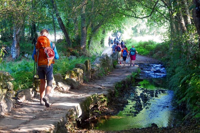 7-Day Tour of the French Way of Santiago from Sarria - Key points to know before you book