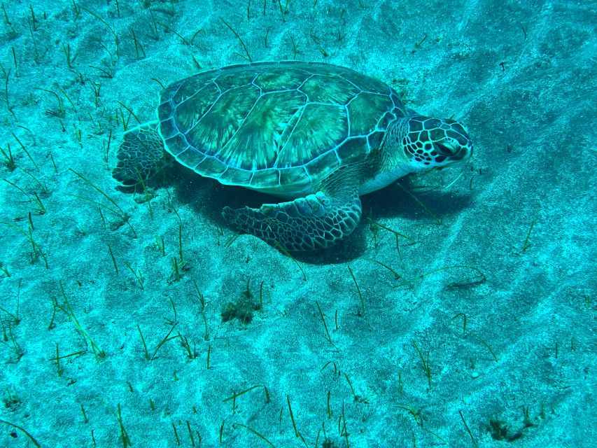 Abades: Guided Snorkeling Tour with Photos - Meeting the guides at Playa Abades