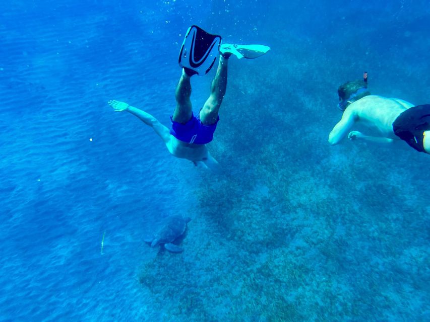 Abades: Guided Snorkeling Tour with Photos - Photos and videos included in the price