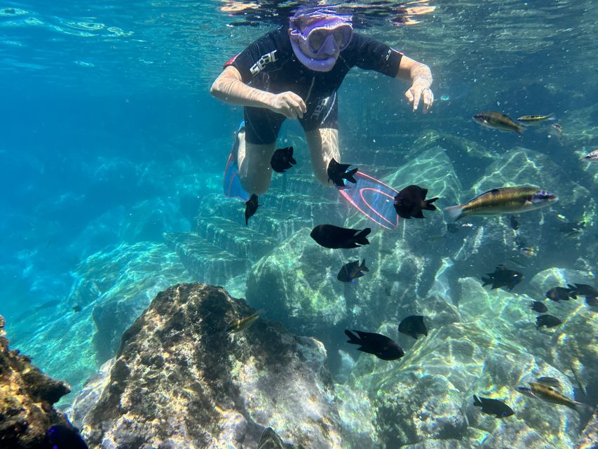 Abades: Guided Snorkeling Tour with Photos - Who will enjoy this most?