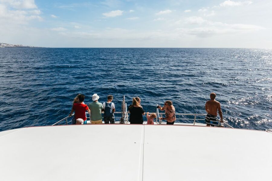 Adeje: Whale and Dolphin Watching Cruise with Lunch and Swim - The three-hour Diego Hernández Bay route