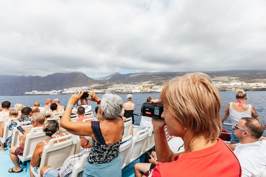 Adeje: Whale and Dolphin Watching Cruise with Lunch and Swim - Lunch, drinks, and the real value of $59