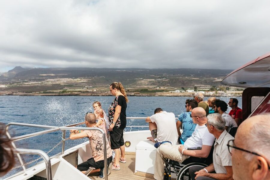 Adeje: Whale and Dolphin Watching Cruise with Lunch and Swim - Comfort, crowds, and seasickness