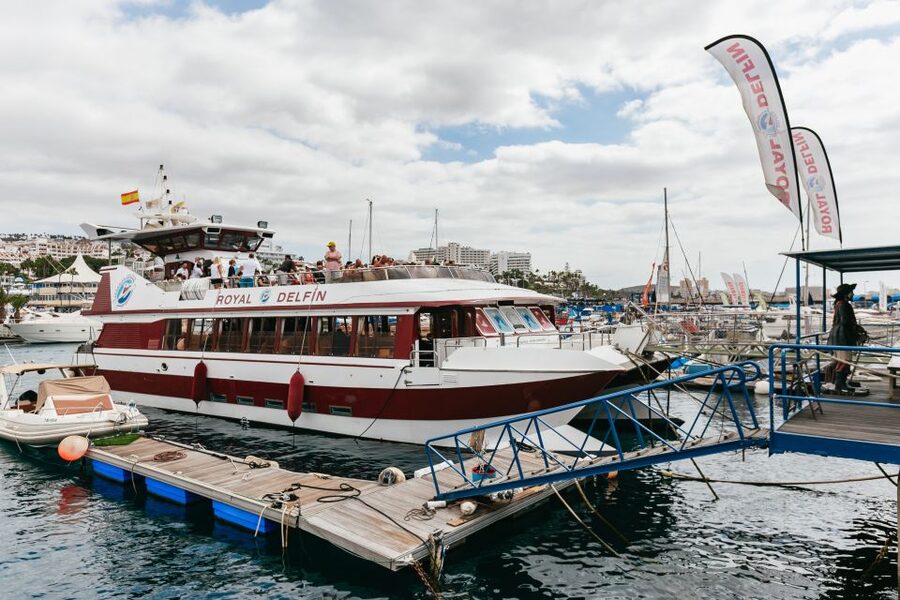 Adeje: Whale and Dolphin Watching Cruise with Lunch and Swim - Who will enjoy this cruise most