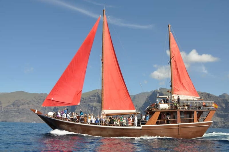 Adeje: Whale Watching Tour to Los Gigantes with lunch & swim - Key points to know before you book