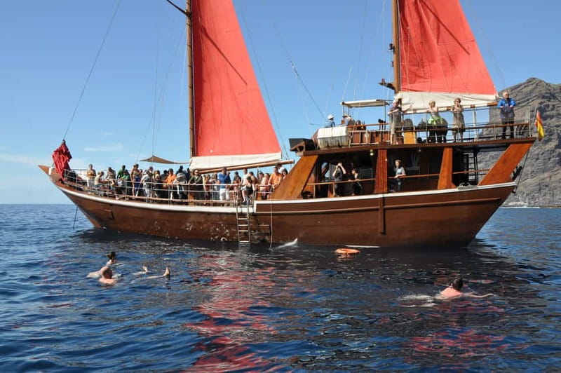Adeje: Whale Watching Tour to Los Gigantes with lunch & swim - Lunch, drinks, and a swim from the boat