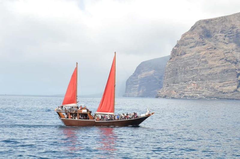 Adeje: Whale Watching Tour to Los Gigantes with lunch & swim - Returning along Tenerife’s southwest coast