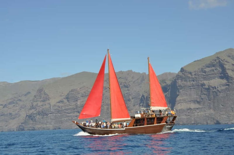 Adeje: Whale Watching Tour to Los Gigantes with lunch & swim - Is $63 a fair price?