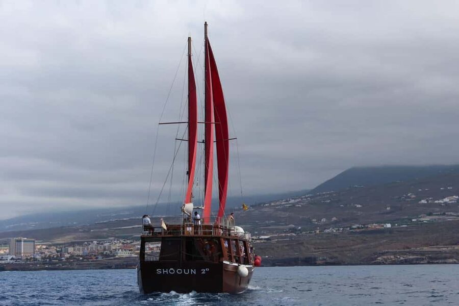 Adeje: Whale Watching Tour to Los Gigantes with lunch & swim - Should you book the Los Gigantes whale-watching tour?