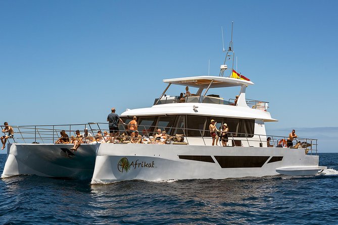 Afrikat Afternoon Cruise - Pickup from Southern Gran Canaria
