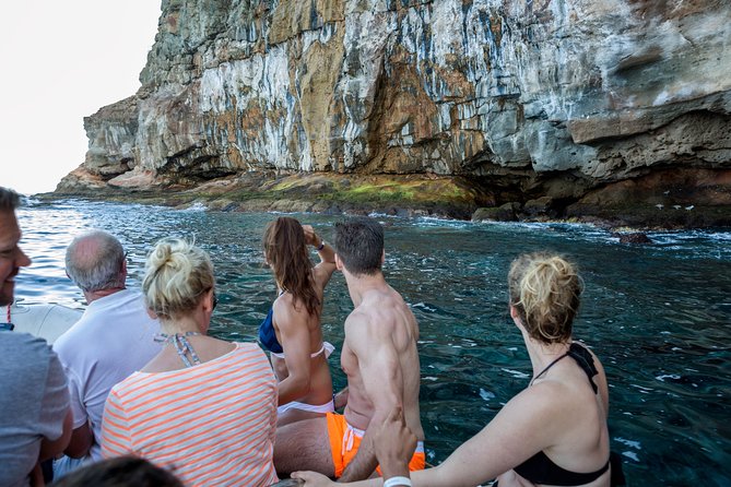 Afrikat Afternoon Cruise - Who Will Enjoy the Afrikat Most?