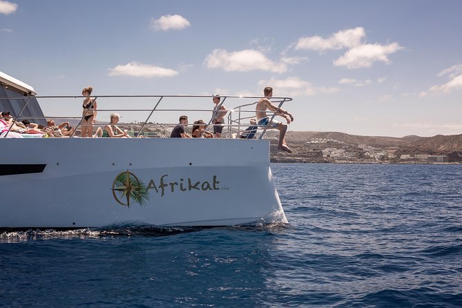 Afrikat Afternoon Cruise - The Calm Bay Is the Heart of the Trip
