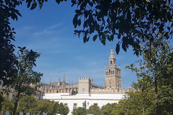 Alcazar and Cathedral of Seville Tour with Skip the Line Tickets - The Giralda climb and Seville from above