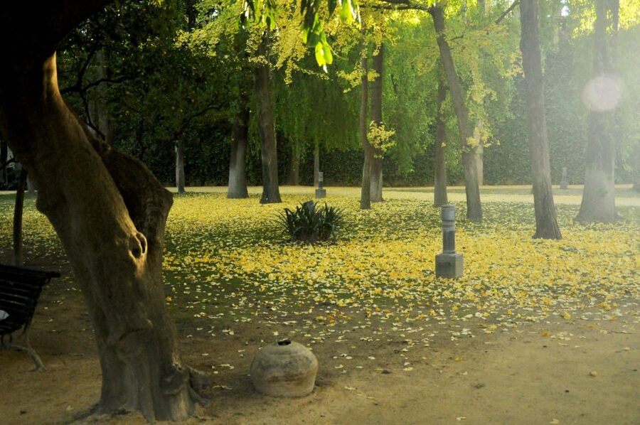 Alcázar of Seville Skip-the-Line Tickets and Guided Tour - Is $44 good value?