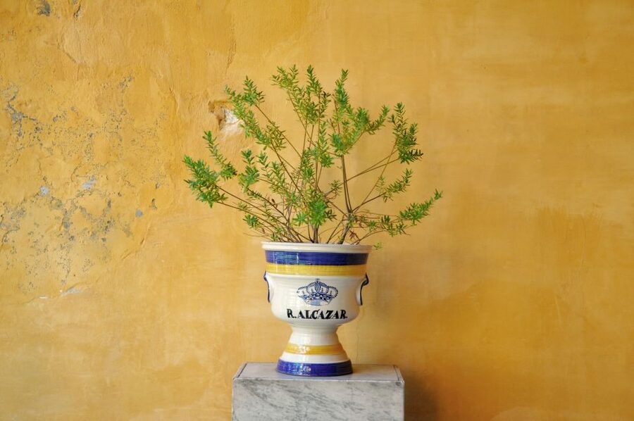 Alcázar of Seville Skip-the-Line Tickets and Guided Tour - Who should book this Alcázar tour?