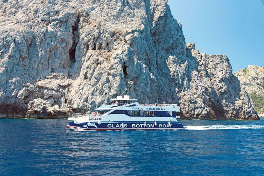Alcudia: Boat Trip to Coll Baix - Who should book this Alcúdia boat trip?
