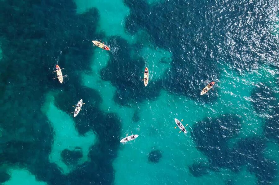 Alcudia: Guided Sea Kayaking Tour with Snorkeling - Swimming, cliff jumping, and the return paddle