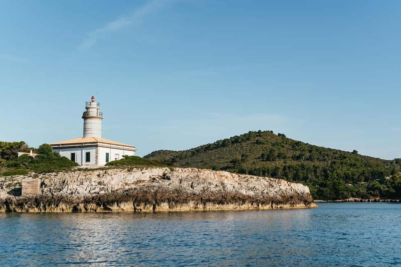 Alcudia or Can Picafort: Dolphin-Watching Cruise - The main event: wild dolphins off northern Mallorca