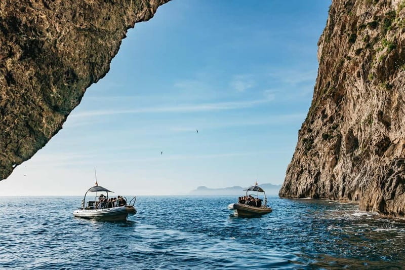 Alcudia or Can Picafort: Dolphin-Watching Cruise - Cabo Formentor from the water