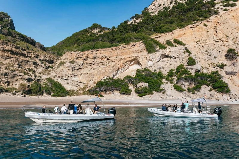 Alcudia or Can Picafort: Dolphin-Watching Cruise - Guides who shape the trip