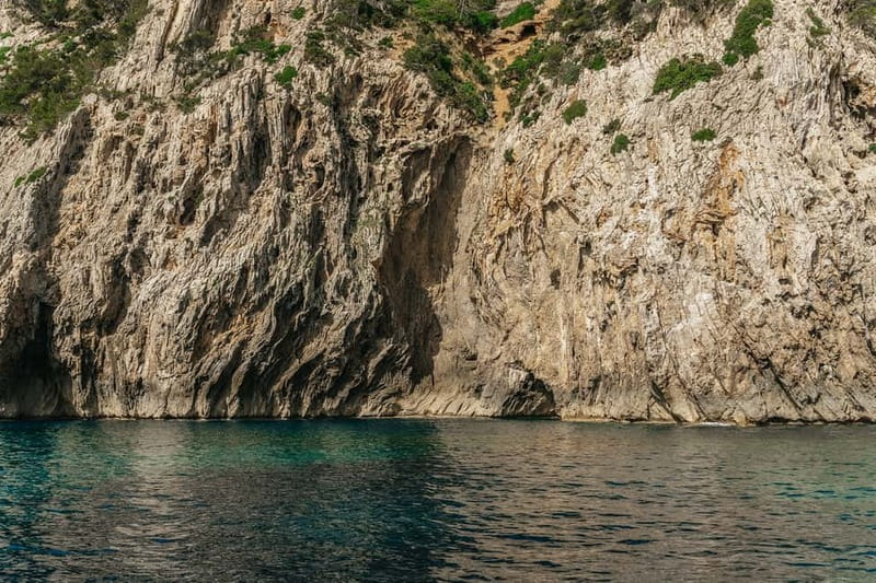 Alcudia or Can Picafort: Dolphin-Watching Cruise - Is $91 a fair price?