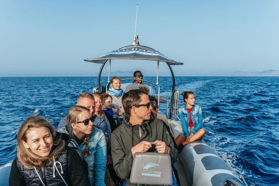 Alcudia or Can Picafort: Dolphin-Watching Cruise - Getting to the Alcudia meeting point