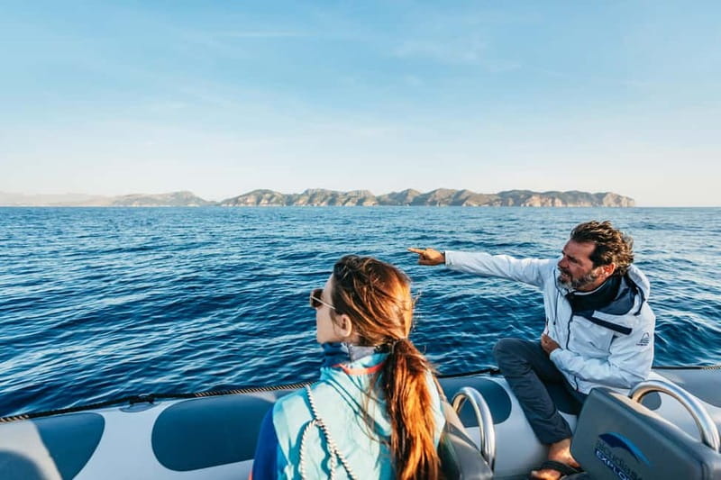 Alcudia or Can Picafort: Dolphin-Watching Cruise - Sunrise from Port d’Alcudia