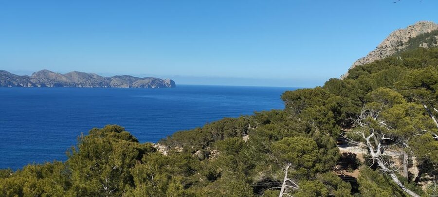 Alcudia: Quad Sightseeing Tour with Viewpoints - What the $100 price buys you