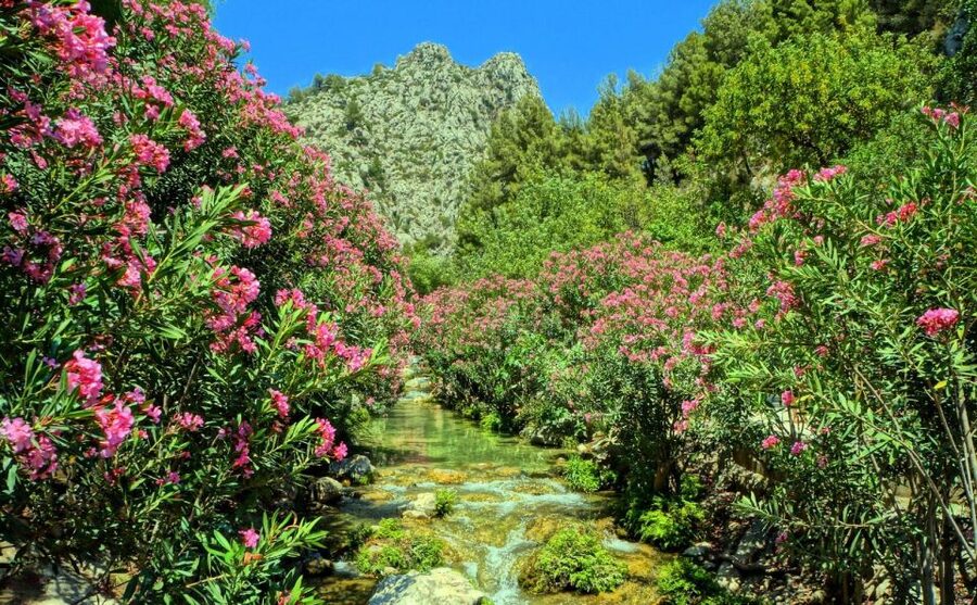 Algar Waterfalls Coach Trip - From Albir & Benidorm - Is $31 good value?