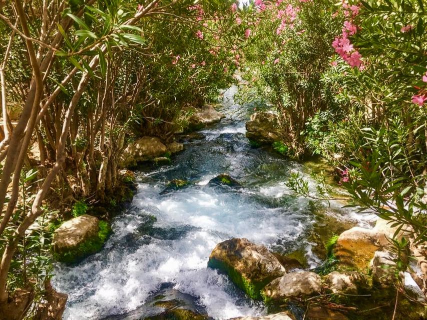 Algar Waterfalls Coach Trip - From Albir & Benidorm - Who should book this excursion?